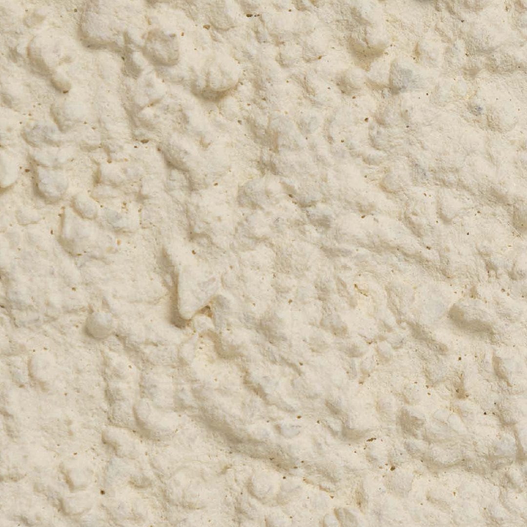 BM007188 EcoRend Ecorend SP15 Silicone Primer - 25kg  African Ivory Rendering Products